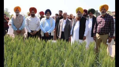 V-C Satbir Singh Gosal (blue turban) with agriculture minister Gurmeet Singh Khuddian (yellow turban) at Regional Research Station, Bathinda on Tuesday. (HT Photo) V-C Satbir Singh Gosal (blue turban) with agriculture minister Gurmeet Singh Khuddian (yellow turban) at Regional Research Station, Bathinda on Tuesday. (HT Photo)