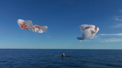 A video shared by SpaceX captured the moment SpaceX's Crew-9 capsule splashed down on Earth. (X/SpaceX) A video shared by SpaceX captured the moment SpaceX's Crew-9 capsule splashed down on Earth. (X/SpaceX)