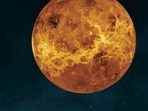 Let us explore how Venus Combust affects the love life, finance, and personal aesthetics of each zodiac sign. Let us explore how Venus Combust affects the love life, finance, and personal aesthetics of each zodiac sign.