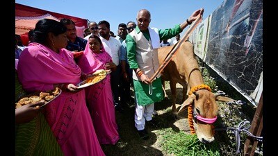 Animal husbandry minister Dharampal Singh formally inaugurated the radium strip distribution programme at Qazi Khera in the state capital’s Gosainganj block (Sourced) Animal husbandry minister Dharampal Singh formally inaugurated the radium strip distribution programme at Qazi Khera in the state capital’s Gosainganj block (Sourced)