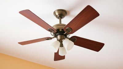 Reduce reliance on air conditioners with fans from the best fan brands. Reduce reliance on air conditioners with fans from the best fan brands.
