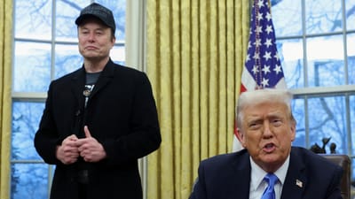 Elon Musk heads the Department of Government Efficiency (DOGE) in the Donald Trump administration. (Reuters File)