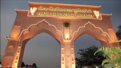 During the upcoming Kisan Mela on March 21 and 22, seven farmers are to be honoured. (HT Photo)