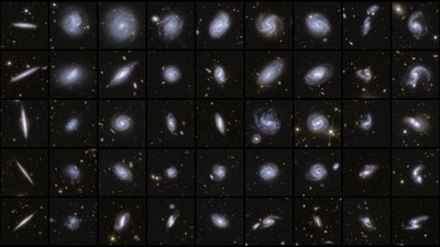 This handout image obtained and released on March 18, 2025 by the ESA/Euclid/Euclid Consortium/NASA shows space telescope Euclid�s new image of examples of galaxies in different shapes, during Euclid first observations of the Deep Field areas. On March 19, 2025, the European space telescope Euclid, a veritable �detective of the dark universe� aided by AI and humans, delivered the first data from a mission designed to help unravel the mystery of dark matter and dark energy. (Photo by Handout / ESA/Euclid/Euclid Consortium/NASA / AFP) / RESTRICTED TO EDITORIAL USE - MANDATORY CREDIT "AFP PHOTO/ESA/Euclid/Euclid Consortium/NASA, image processing by M. Walmsley, M. Huertas-Company, J.-C. Cuillandre" - NO MARKETING NO ADVERTISING CAMPAIGNS - DISTRIBUTED AS A SERVICE TO CLIENTS / TO GO WITH AFP STORY BY PIERRE CELERIER (AFP) This handout image obtained and released on March 18, 2025 by the ESA/Euclid/Euclid Consortium/NASA shows space telescope Euclid�s new image of examples of galaxies in different shapes, during Euclid first observations of the Deep Field areas. On March 19, 2025, the European space telescope Euclid, a veritable �detective of the dark universe� aided by AI and humans, delivered the first data from a mission designed to help unravel the mystery of dark matter and dark energy. (Photo by Handout / ESA/Euclid/Euclid Consortium/NASA / AFP) / RESTRICTED TO EDITORIAL USE - MANDATORY CREDIT "AFP PHOTO/ESA/Euclid/Euclid Consortium/NASA, image processing by M. Walmsley, M. Huertas-Company, J.-C. Cuillandre" - NO MARKETING NO ADVERTISING CAMPAIGNS - DISTRIBUTED AS A SERVICE TO CLIENTS / TO GO WITH AFP STORY BY PIERRE CELERIER (AFP)