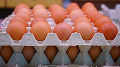 The US has approached several European countries for egg exports. The US has approached several European countries for egg exports.