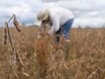 The USDA's Emergency Commodity Assistance Program will provide direct payments to farmers facing rising costs.