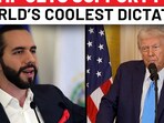 After Jailing Deportees From USA, El Salvador's Bukele Alerts Trump About… After Jailing Deportees From USA, El Salvador's Bukele Alerts Trump About…