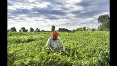 Haryana Budget Session: Bills to amend 2 central agri laws; four others passed in Assembly Haryana Budget Session: Bills to amend 2 central agri laws; four others passed in Assembly
