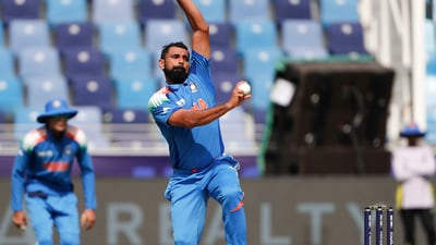 Mohammed Shami during the Champions Trophy (ANI ) Mohammed Shami during the Champions Trophy (ANI )