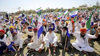 Farmers from Kisan Mazdoor Sangharsh Committee stage a protest as they were stopped while trying to approach the DC office to protest against the arrest of their farmer leaders from the Haryana—Punjab Shambhu border, in Amritsar on Thursday. (ANI)