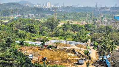 Over 2,500 trees were axed for the Metro 3 car shed at Aarey Colony (Satish Bate/HT Photo) Over 2,500 trees were axed for the Metro 3 car shed at Aarey Colony (Satish Bate/HT Photo)