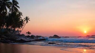 The state tourism department said the action was taken after incidents of violence along the beach shacks turned the spotlight on subletting of shacks. (Shutterstock/FILE) The state tourism department said the action was taken after incidents of violence along the beach shacks turned the spotlight on subletting of shacks. (Shutterstock/FILE)