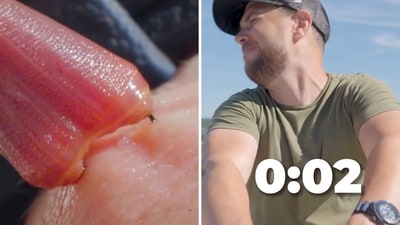 A US YouTuber with his hand inside a box filled with bloodworms. (Instagram/@realmarkvins) A US YouTuber with his hand inside a box filled with bloodworms. (Instagram/@realmarkvins)