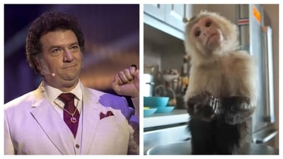 PETA is asking people to "skip this show". PETA is asking people to "skip this show".