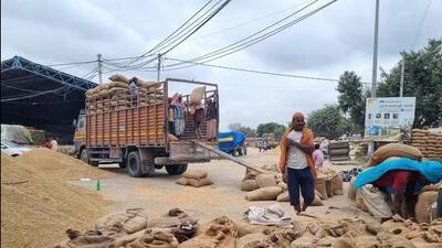 FCI district manager Mitha Lal said space allocation is related to the regional office. (HT photo for representation)