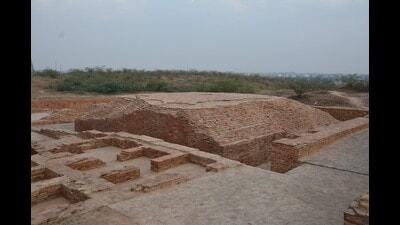 Sharma further said that the objective of the excavation is to understand the nature of Agroha’s trade links with the outside world. (File) Sharma further said that the objective of the excavation is to understand the nature of Agroha’s trade links with the outside world. (File)