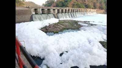The thick foam was seen floating in massive amounts near Kejubai Band in the river water. (HT PHOTO) The thick foam was seen floating in massive amounts near Kejubai Band in the river water. (HT PHOTO)