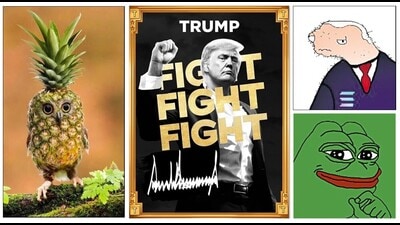 There are meme coins dedicated to celebrities, online trends, weird ideas. (Above) Icons for the meme coins PINEOWL, $Trump, BODEN and Pepe. There are meme coins dedicated to celebrities, online trends, weird ideas. (Above) Icons for the meme coins PINEOWL, $Trump, BODEN and Pepe.