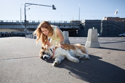Immediately take your dog in a cool spot. (Shutterstock) Immediately take your dog in a cool spot. (Shutterstock)