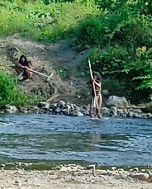 A Hongana Manyawa man signals to loggers that they are not welcome. (Courtesy Survival International) A Hongana Manyawa man signals to loggers that they are not welcome. (Courtesy Survival International)