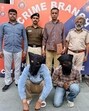 Two of the accused in the custody of Anti-Narcotics Task Force of Chandigarh Police. (HT Photo) Two of the accused in the custody of Anti-Narcotics Task Force of Chandigarh Police. (HT Photo)