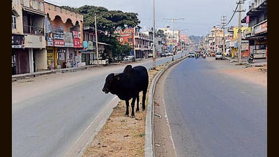 A deserted road during statewide bandh at Chikkamagaluru in Karnataka on Saturday. (PTI) A deserted road during statewide bandh at Chikkamagaluru in Karnataka on Saturday. (PTI)