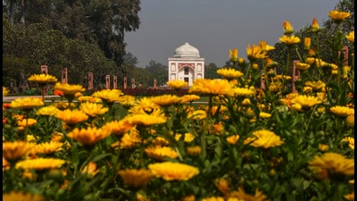 At Delhi’s Sunder Nursery. In spring, the city is like a movie set just waiting for someone to yell ‘Action!. (HT Archives) At Delhi’s Sunder Nursery. In spring, the city is like a movie set just waiting for someone to yell ‘Action!. (HT Archives)