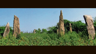 There are close to 80 tall menhirs of 10 to 14 feet height, accompanied by nearly 3,000 alignment stones related to the funerary rights of the ancient community. These stones are arranged in lines or rows in a 20-25 feet gap. (HT Photo) There are close to 80 tall menhirs of 10 to 14 feet height, accompanied by nearly 3,000 alignment stones related to the funerary rights of the ancient community. These stones are arranged in lines or rows in a 20-25 feet gap. (HT Photo)