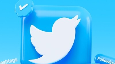 Twitter's iconic bird logo was auctioned (Representative image/Unsplash) Twitter's iconic bird logo was auctioned (Representative image/Unsplash)