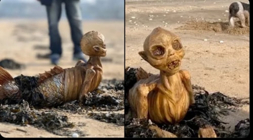 A 'skeleton-like' figure found on a UK beach. (Screengrab) A 'skeleton-like' figure found on a UK beach. (Screengrab)