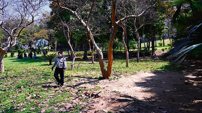 According to police, the victims, who were originally from Nepal, hanged themselves from a tree inside the park. (Vipin Kumar/HT Photo)