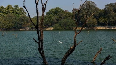 The incident came to light after a PCR call was made by a security guard of Hauz Khas' Deer Park about the bodies. (HT Photo) The incident came to light after a PCR call was made by a security guard of Hauz Khas' Deer Park about the bodies. (HT Photo)