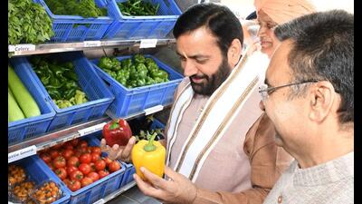 Haryana CM Nayab Singh Saini at the Indo-Israel Vegetable Excellence Centre in Gharaunda of Karnal district on Sunday. (Sourced) Haryana CM Nayab Singh Saini at the Indo-Israel Vegetable Excellence Centre in Gharaunda of Karnal district on Sunday. (Sourced)