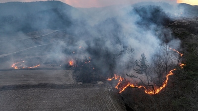 South Korea wildfires: The fires are ravaging the country at a time when South Korea is undergoing some of its greatest political turbulence in decades, triggered by President Yoon Suk Yeol’s short-lived martial law declaration in December. (AP) South Korea wildfires: The fires are ravaging the country at a time when South Korea is undergoing some of its greatest political turbulence in decades, triggered by President Yoon Suk Yeol’s short-lived martial law declaration in December. (AP)