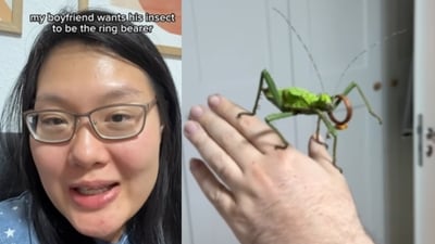 A man wants his pet insect as the ring bearer, leaving the internet in stitches. (Instagram/uyenninh) A man wants his pet insect as the ring bearer, leaving the internet in stitches. (Instagram/uyenninh)