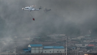 South Korea wildfires: The country has declared a state of disaster after multiple forest fires hit the country’s south, killing at least four and displacing hundreds of residents from their homes. (AFP) South Korea wildfires: The country has declared a state of disaster after multiple forest fires hit the country’s south, killing at least four and displacing hundreds of residents from their homes. (AFP)