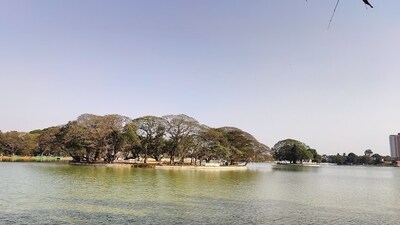 According to Dr. Ramachandra, Bengaluru had 1,452 water bodies and 80 per cent green cover in the 1800s. (Instagram/clintonbaptist) According to Dr. Ramachandra, Bengaluru had 1,452 water bodies and 80 per cent green cover in the 1800s. (Instagram/clintonbaptist)