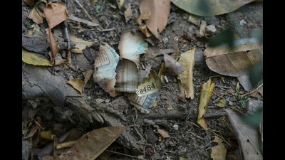 Burnt pieces of a currency note seen among debris near the residence of Delhi High Court judge Justice Yashwant Varma, in New Delhi. (PTI) Burnt pieces of a currency note seen among debris near the residence of Delhi High Court judge Justice Yashwant Varma, in New Delhi. (PTI)