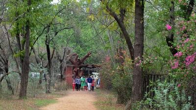 Conservationists are now raising the alarm as mounting human interference threatens to irrevocably harm one of Haryana’s most vibrant birding spots. (HT Archive)