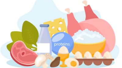 Doctor recommends you consider a balanced approach that includes both plant-based and animal-based protein sources. Here's why. (Freepik) Doctor recommends you consider a balanced approach that includes both plant-based and animal-based protein sources. Here's why. (Freepik)