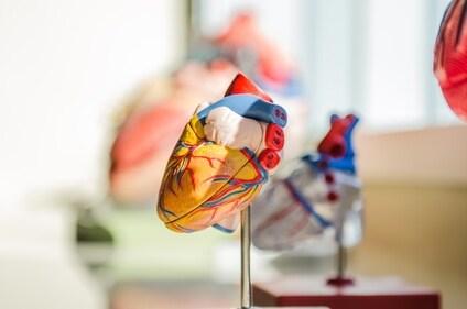 Improve cholesterol levels, lower risk of heart disease: Garlic supplements may reduce total and/or LDL (low-density lipoprotein) cholesterol by about 10–15%. (Unsplash) Improve cholesterol levels, lower risk of heart disease: Garlic supplements may reduce total and/or LDL (low-density lipoprotein) cholesterol by about 10–15%. (Unsplash)