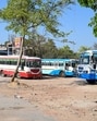 Buses parked on the open area at the Sector 12 bus depot on Monday. (Parveen Kumar/HT Photo)