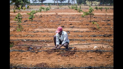 A robust framework is essential for effective adoption and implementation of water green credits (Bloomberg) A robust framework is essential for effective adoption and implementation of water green credits (Bloomberg)