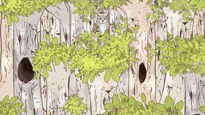 A optical illusion shared on X challenged viewers to spot a hidden owl among birch trees. (X/@piedpiperlko)