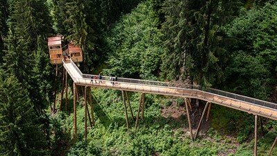 Treetop walkway: The Senda dil Dragun, the world's longest treetop walkway, stretching 1.56 km. This elevated path offers visitors a unique perspective of the forest from heights ranging between 2 to 28 meters. Treetop walkway: The Senda dil Dragun, the world's longest treetop walkway, stretching 1.56 km. This elevated path offers visitors a unique perspective of the forest from heights ranging between 2 to 28 meters.