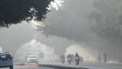 The BJP government in Delhi has made a  ₹506 crore provision for the environment and forest departments, of which  ₹422 crore has been allocated for various schemes, projects and programmes. (Arvind Yadav/HT Photo (File))