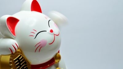 Read your lucky horoscope based on your Chinese zodiac sign. (Representative image of Maneki neko). (Pexels)