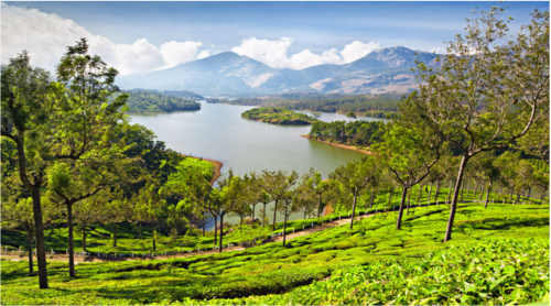Munnar’s lush tea gardens and misty hills provide a peaceful escape. (Unsplash) Munnar’s lush tea gardens and misty hills provide a peaceful escape. (Unsplash)