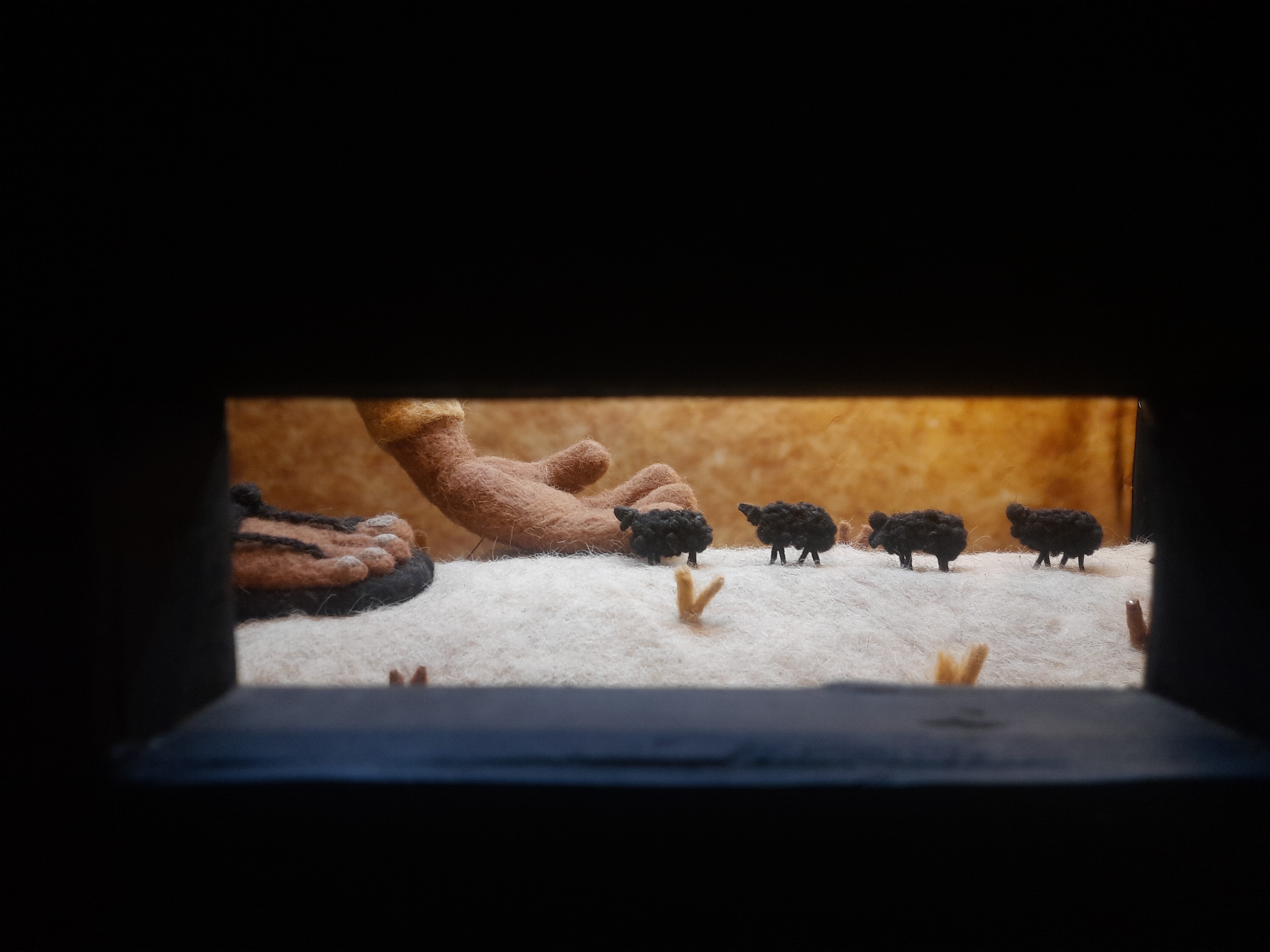 Desi oon (indigenous wool) used to make a film on desi oon called ‘Desi Oon’! (Charumathi Supraja) Desi oon (indigenous wool) used to make a film on desi oon called ‘Desi Oon’! (Charumathi Supraja)
