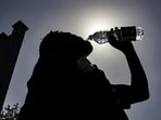 The IMD has warned that 2025 will experience double the normal heatwave days per season this summer in Northwest India (Representative image) The IMD has warned that 2025 will experience double the normal heatwave days per season this summer in Northwest India (Representative image)